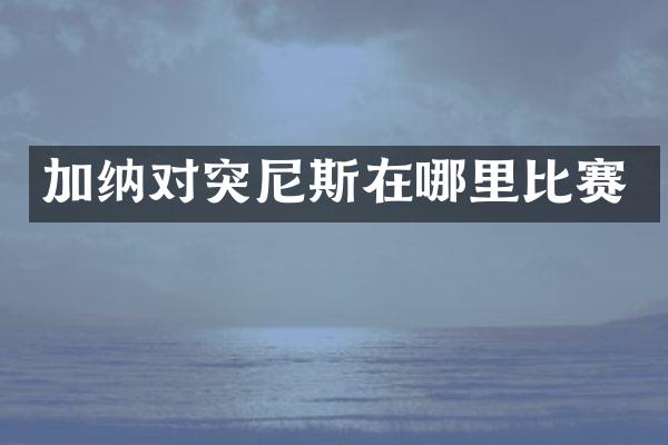 加纳对突尼斯在哪里比赛