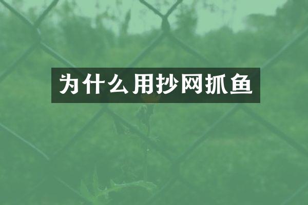 为什么用抄网抓鱼