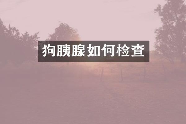 狗胰腺如何检查