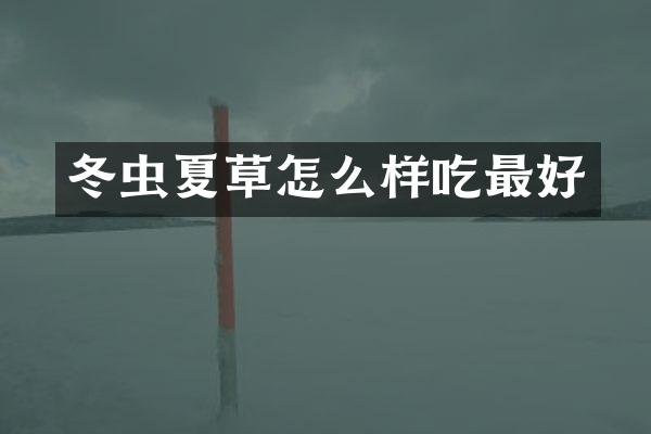 冬虫夏草怎么样吃最好