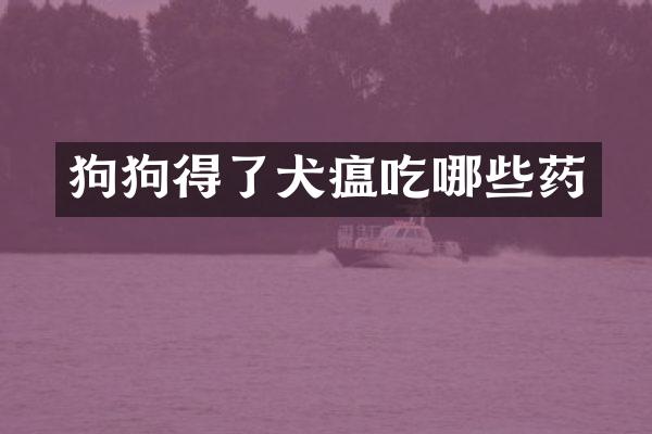 狗狗得了犬瘟吃哪些药