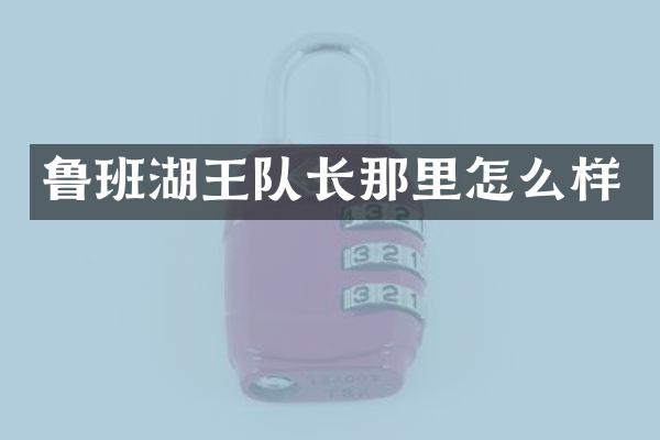 鲁班湖王队长那里怎么样