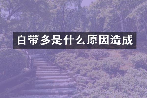 白带多是什么原因造成