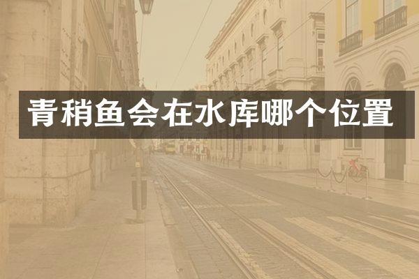 青稍鱼会在水库哪个位置
