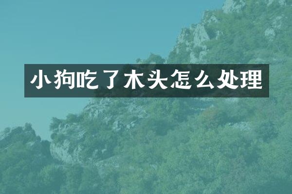 小狗吃了木头怎么处理