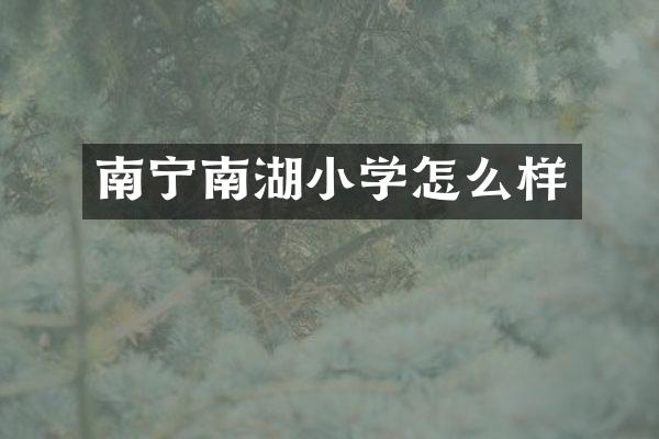 南宁南湖小学怎么样