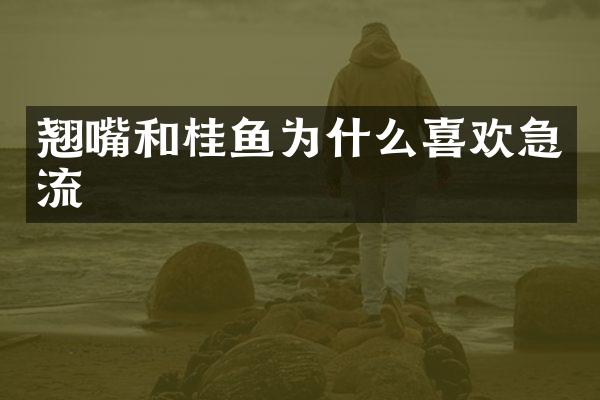 翘嘴和桂鱼为什么喜欢急流
