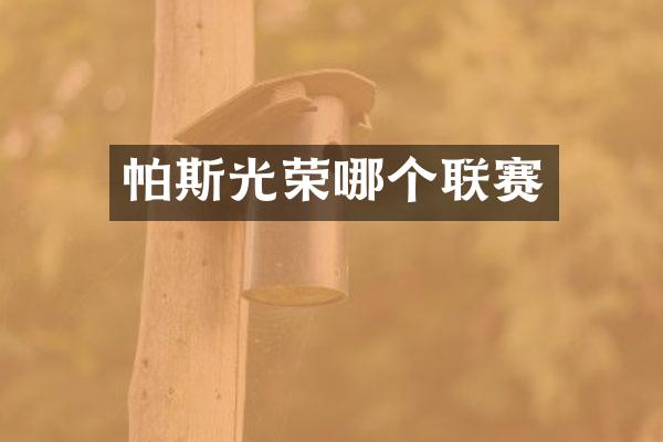 帕斯光荣哪个联赛
