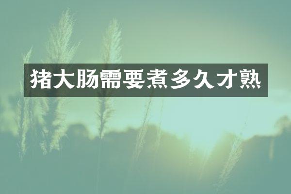 猪大肠需要煮多久才熟