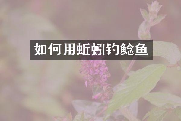 如何用蚯蚓钓鲶鱼