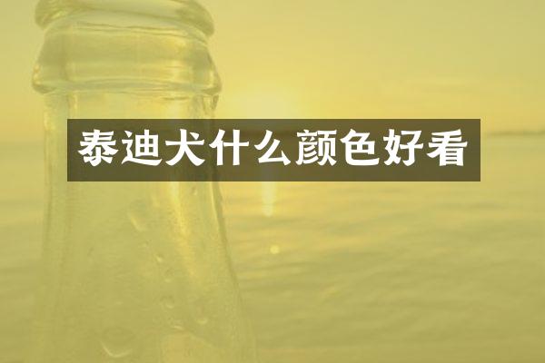 泰迪犬什么颜色好看