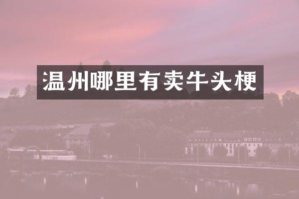 温州哪里有卖牛头梗