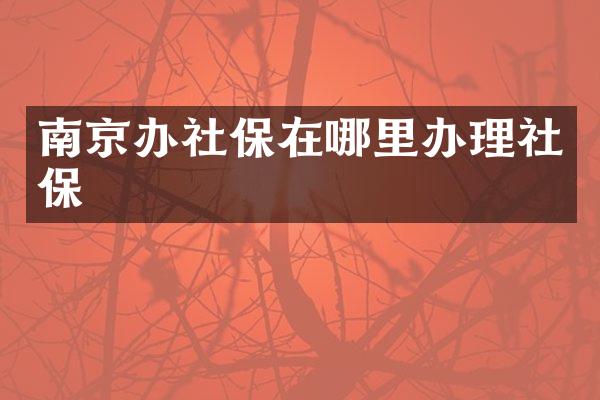 南京办社保在哪里办理社保