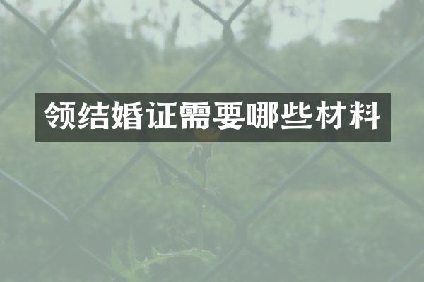 领结婚证需要哪些材料