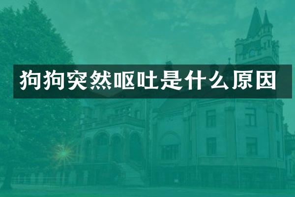 狗狗突然呕吐是什么原因