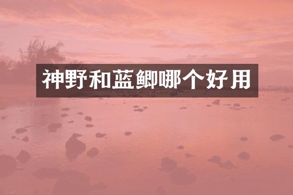 神野和蓝鲫哪个好用