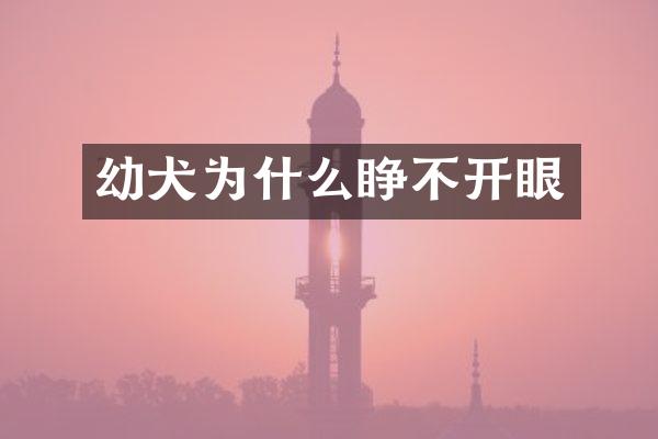 幼犬为什么睁不开眼