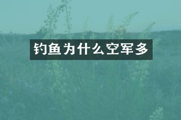 钓鱼为什么空军多