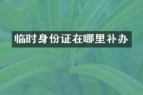临时身份证在哪里补办