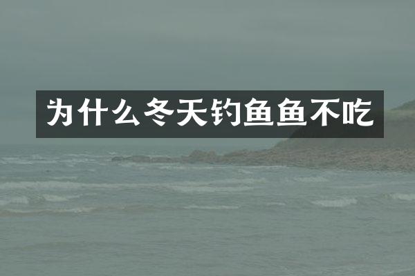 为什么冬天钓鱼鱼不吃