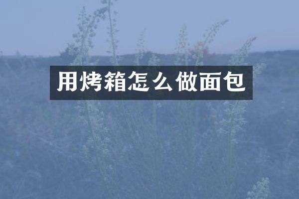 用烤箱怎么做面包