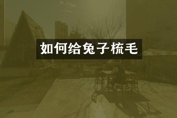 如何给兔子梳毛