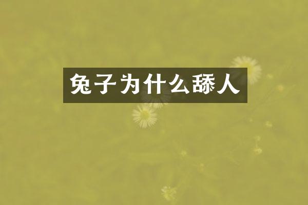 兔子为什么舔人