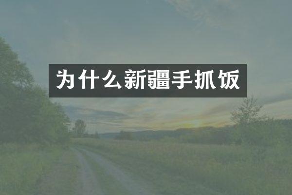 为什么新疆手抓饭