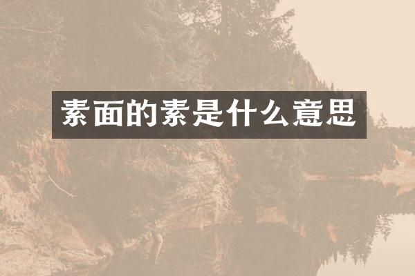 素面的素是什么意思