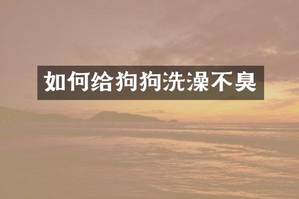 如何给狗狗洗澡不臭