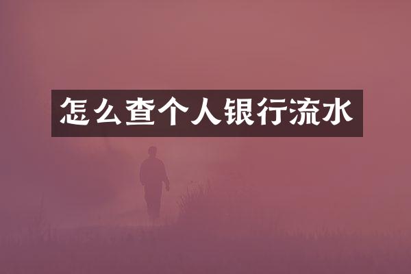 怎么查个人银行流水