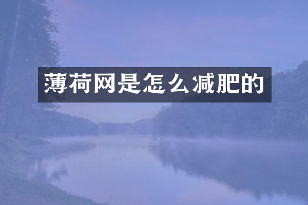 薄荷网是怎么减肥的