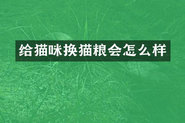 给猫咪换猫粮会怎么样