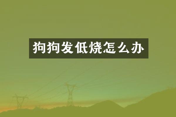 狗狗发低烧怎么办