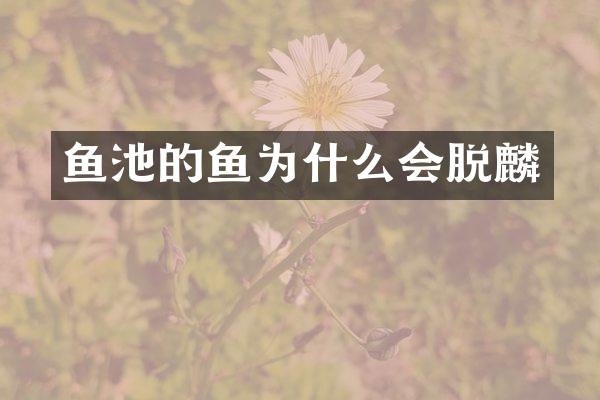 鱼池的鱼为什么会脱麟