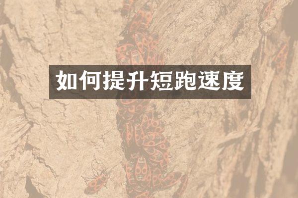 如何提升短跑速度