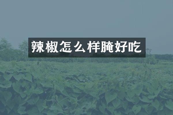 辣椒怎么样腌好吃