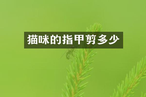 猫咪的指甲剪多少