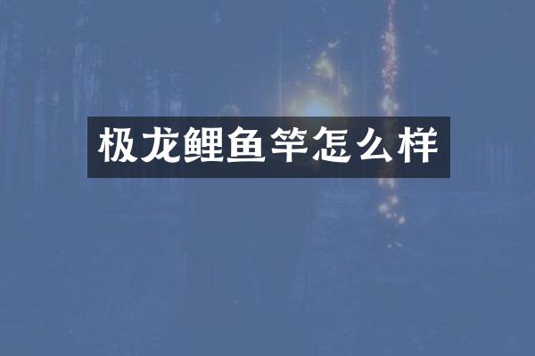 极龙鲤鱼竿怎么样