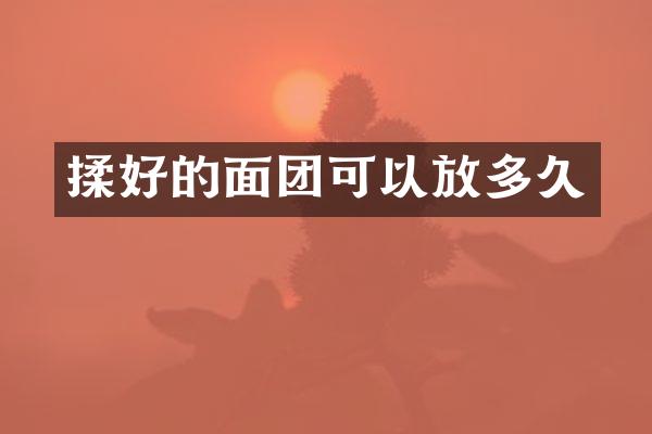 揉好的面团可以放多久