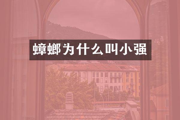 蟑螂为什么叫小强