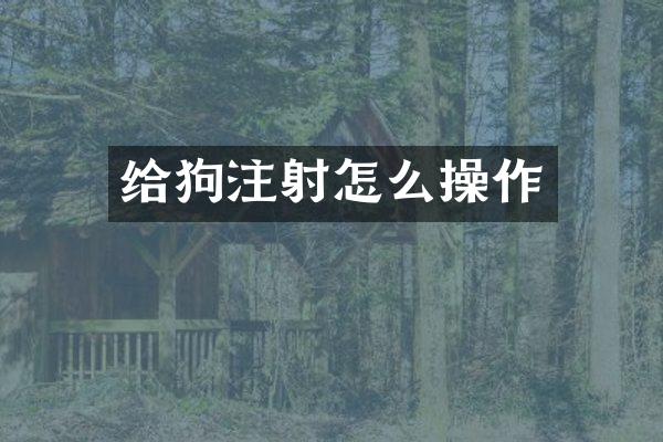 给狗注射怎么操作