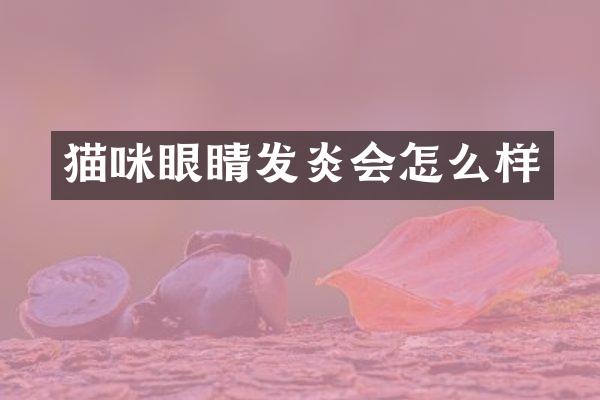 猫咪眼睛发炎会怎么样