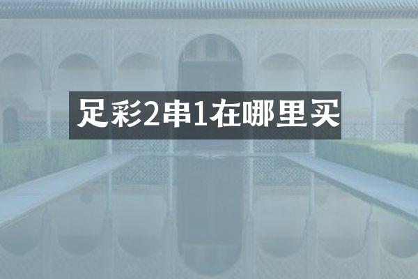 2串1在哪里买