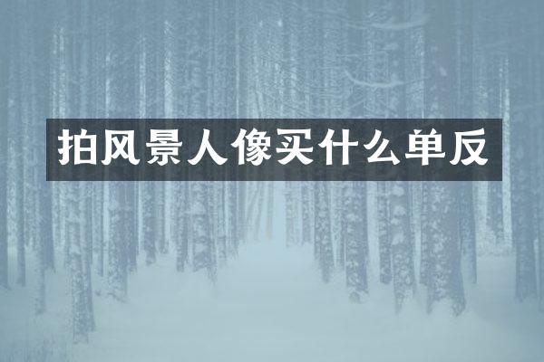 拍风景人像买什么单反