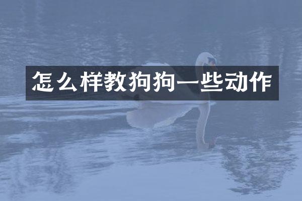 怎么样教狗狗一些动作