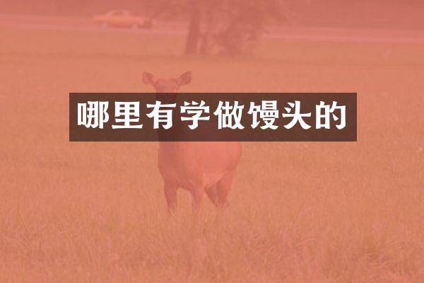 哪里有学做馒头的