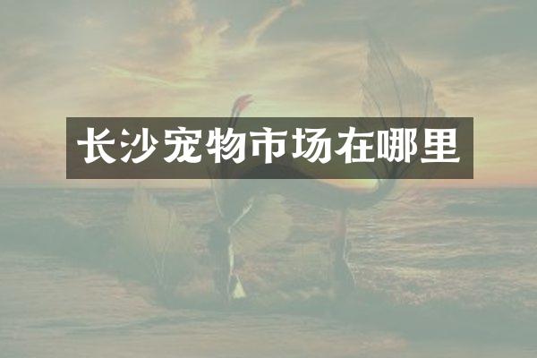 长沙宠物市场在哪里