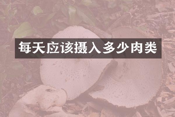 每天应该摄入多少肉类