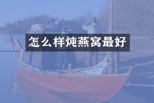 怎么样炖燕窝最好